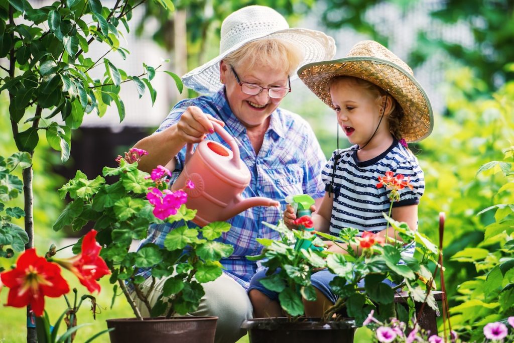 Meaningful Activities Seniors Can Enjoy with Loved Ones